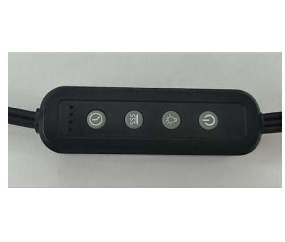 LD-2X100PT 美规双按键定时调光器